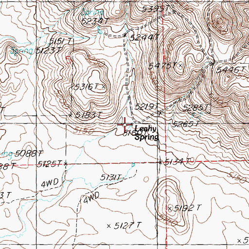 Topographic Map of Leahy Spring, ID