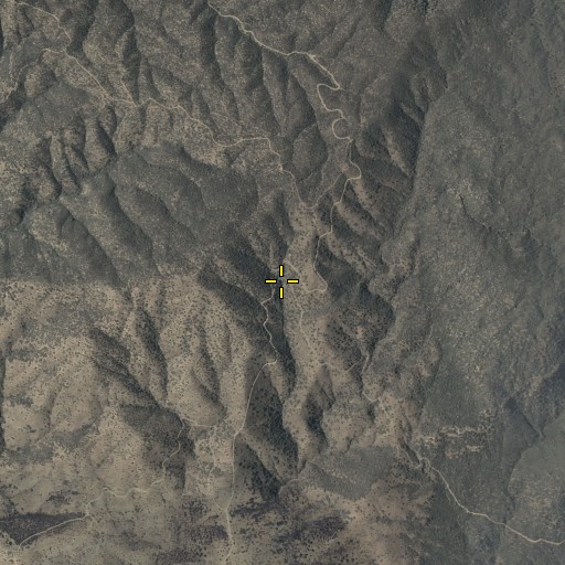 Aerial/Satellite Image of Patterson Spring, AZ