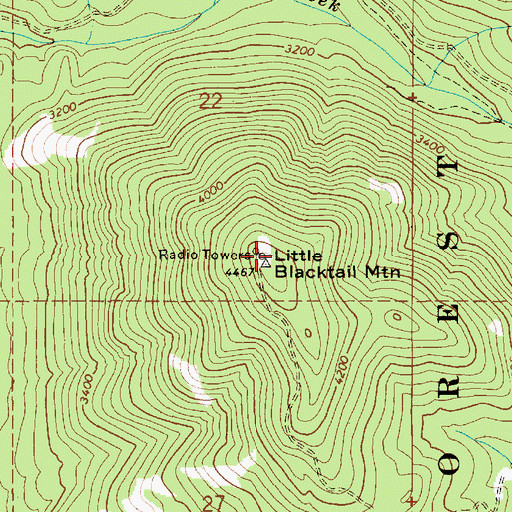 Topographic Map of Little Blacktail Mountain, ID