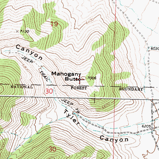 Topographic Map of Mahogany Butte, ID