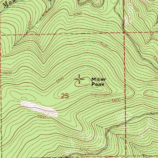 Topographic Map of Miller Peak, ID