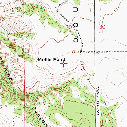 Topographic Map of Mollie Point, ID