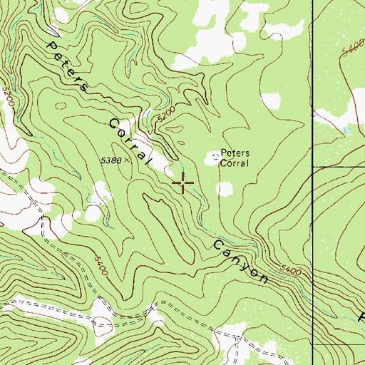 Topographic Map of Peters Corral Spring, AZ