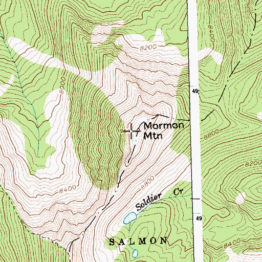 Topographic Map of Mormon Mountain, ID