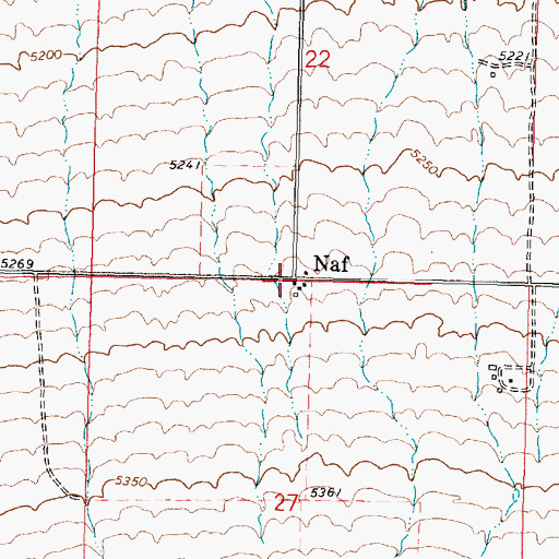 Topographic Map of Naf, ID