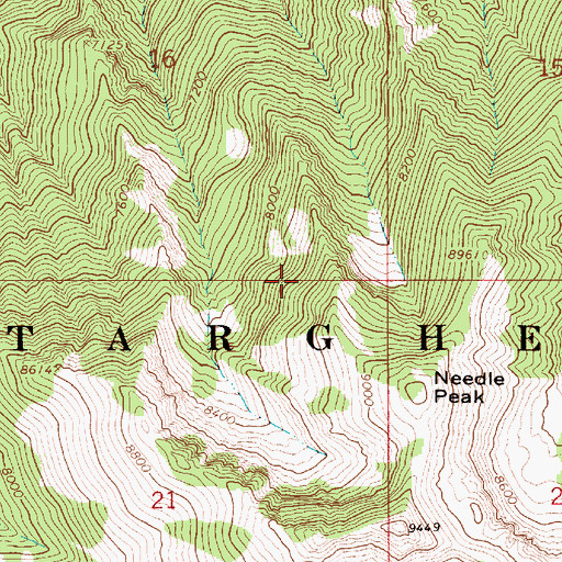Topographic Map of Needle Peak, ID