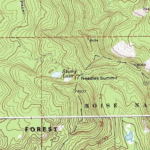 Topographic Map of Needles Summit, ID