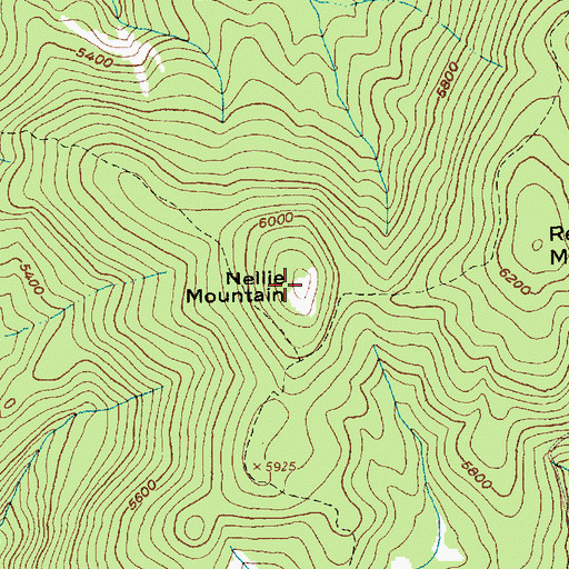 Topographic Map of Nellie Mountain, ID
