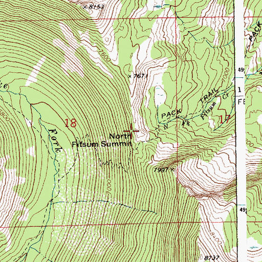 Topographic Map of North Fitsum Summit, ID