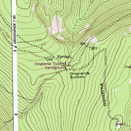 Topographic Map of Orogrande Summit, ID