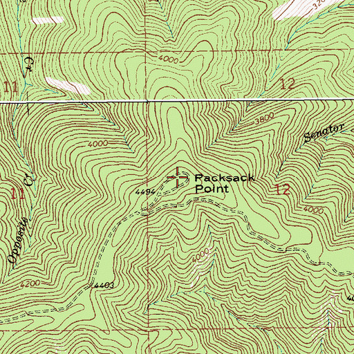 Topographic Map of Packsack Point, ID