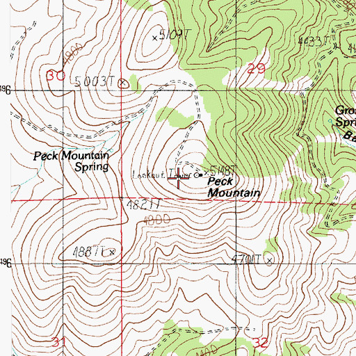 Topographic Map of Peck Mountain, ID