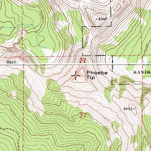 Topographic Map of Phoebe Tip, ID