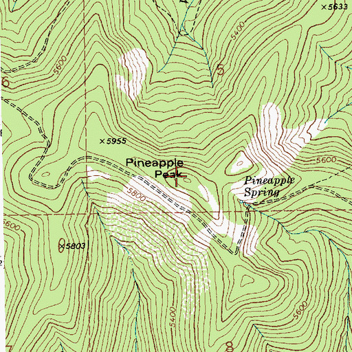 Topographic Map of Pineapple Peak, ID