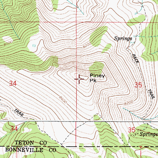 Topographic Map of Piney Peak, ID