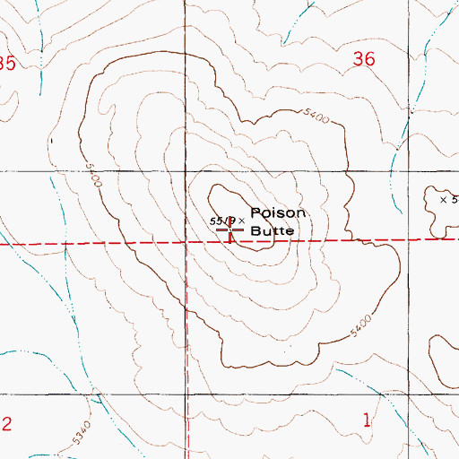 Topographic Map of Poison Butte, ID