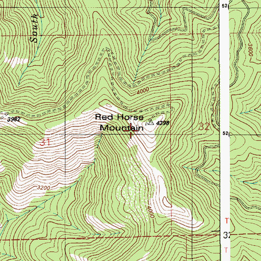 Topographic Map of Red Horse Mountain, ID