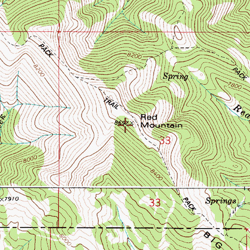 Topographic Map of Red Mountain, ID