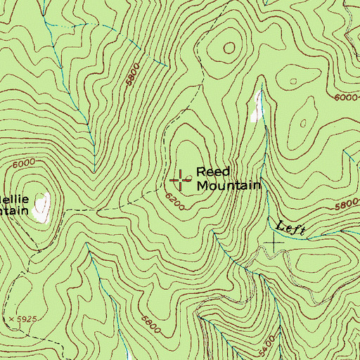 Topographic Map of Reed Mountain, ID