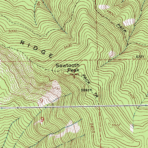 Topographic Map of Sawtooth Peak, ID