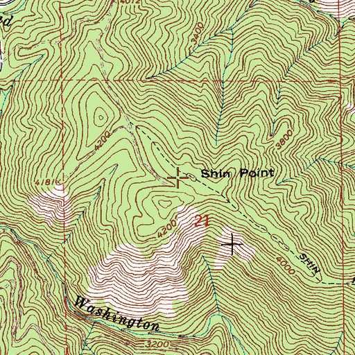 Topographic Map of Shin Point, ID