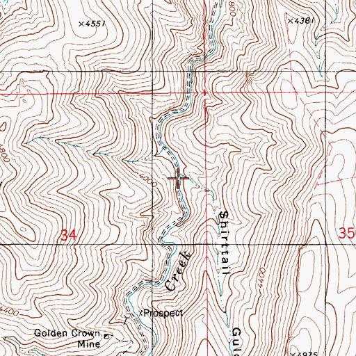 Topographic Map of Shirttail Gulch, ID