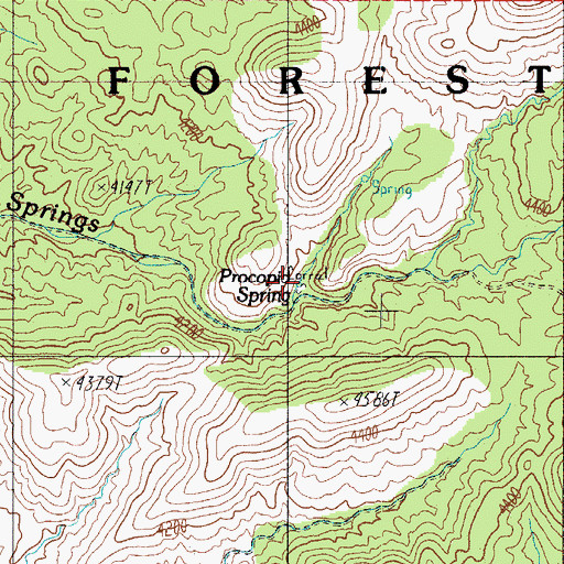 Topographic Map of Procopio Spring, AZ