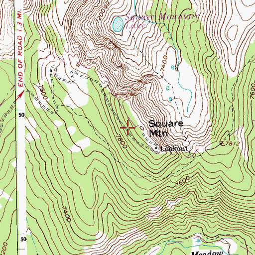 Topographic Map of Square Mountain, ID