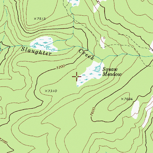 Topographic Map of Squaw Meadow, ID