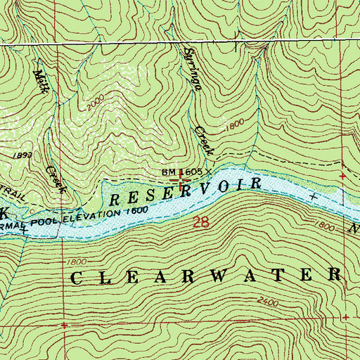 Topographic Map of Syringa Creek, ID