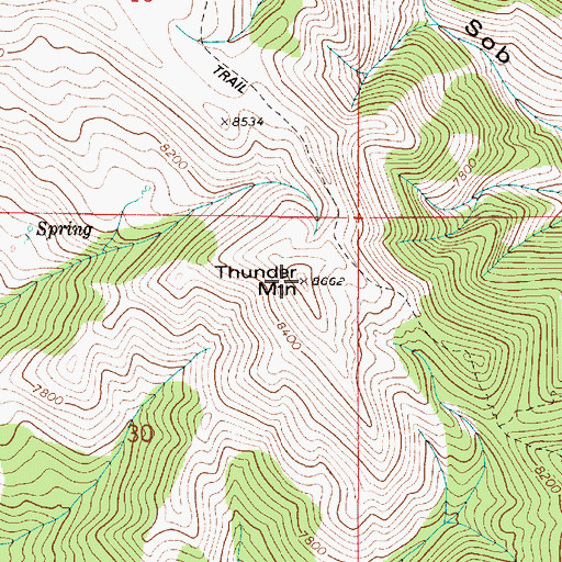 Topographic Map of Thunder Mountain, ID