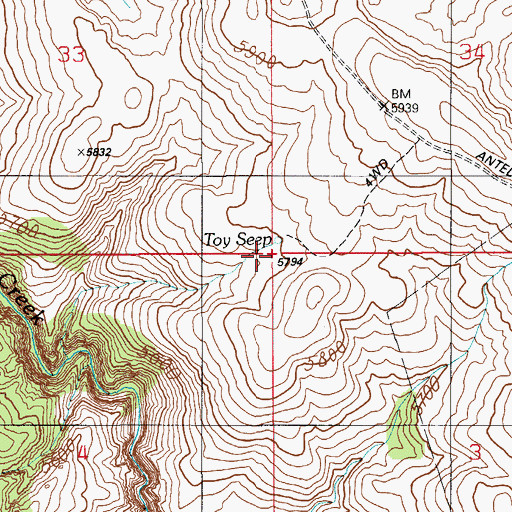 Topographic Map of Toy Seep, ID