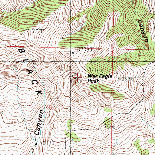 Topographic Map of War Eagle Peak, ID