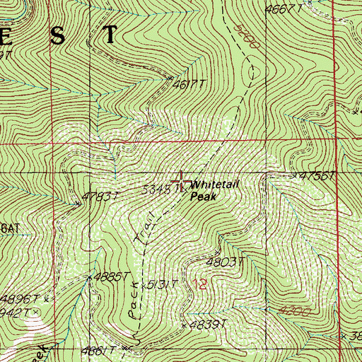 Topographic Map of Whitetail Peak, ID