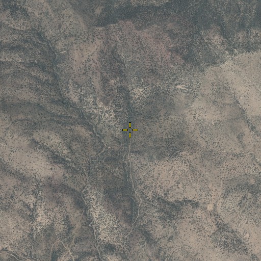 Aerial/Satellite Image of Richmond Spring, AZ