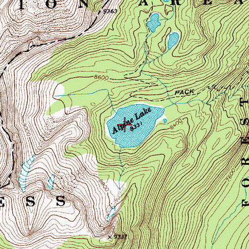 Topographic Map of Alpine Lake, ID