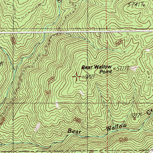 Topographic Map of Bear Wallow Point, ID