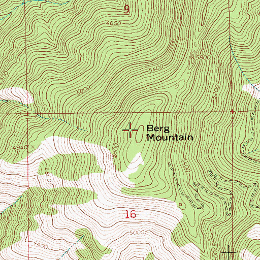 Topographic Map of Berg Mountain, ID
