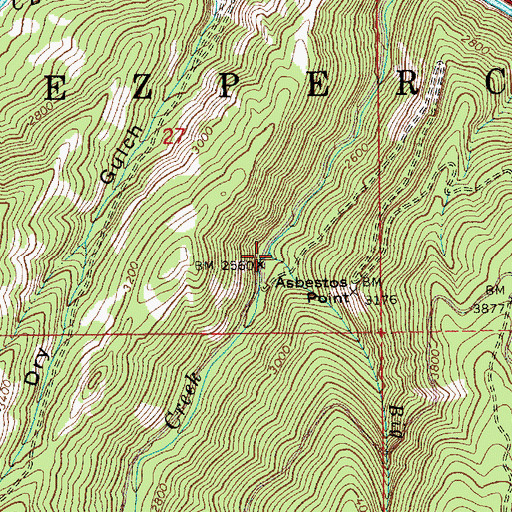 Topographic Map of Big Canyon Creek, ID