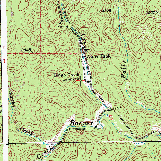 Topographic Map of Bingo Creek Landing, ID