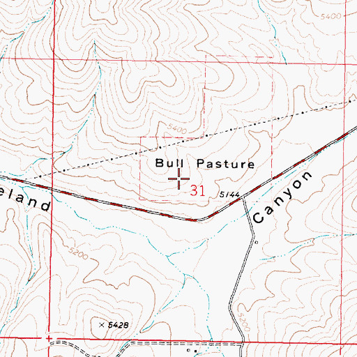 Topographic Map of Bull Pasture, ID