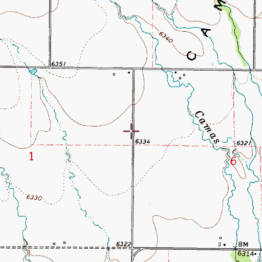 Topographic Map of Camas Meadows, ID