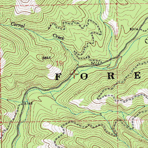 Topographic Map of Corral Creek, ID