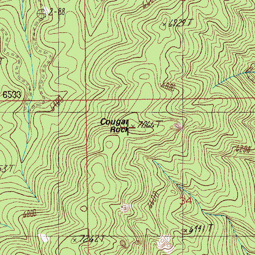 Topographic Map of Cougar Rock, ID