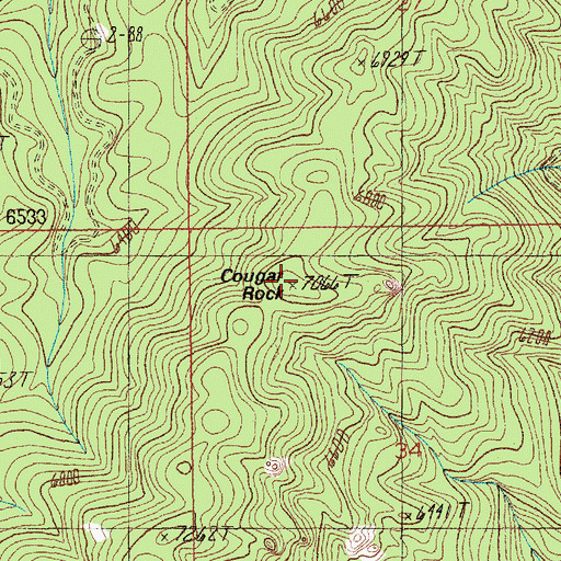 Topographic Map of Cougar Rock Trail, ID