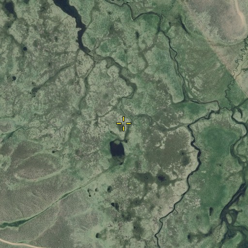Aerial/Satellite Image of Cranes Flat, ID