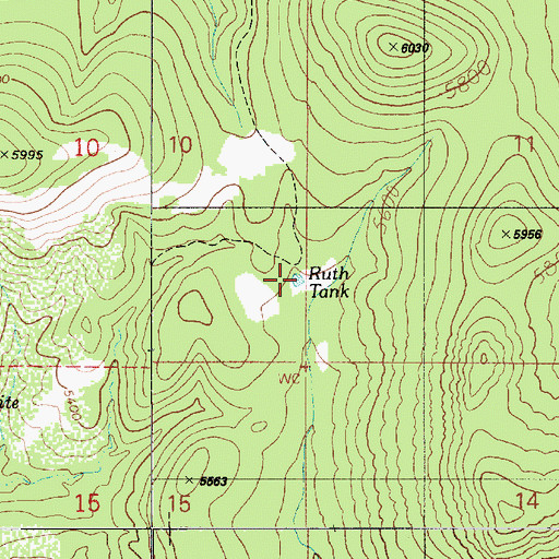 Topographic Map of Ruth Tank, AZ