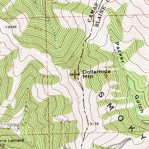 Topographic Map of Dollarhide Mountain, ID