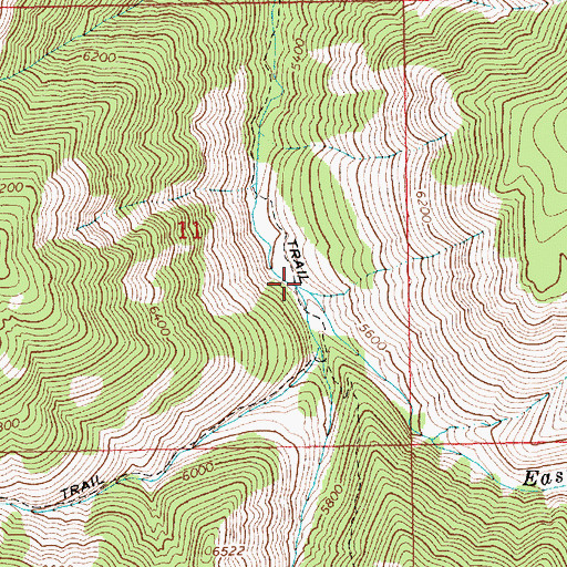 Topographic Map of East Fork Roaring River, ID
