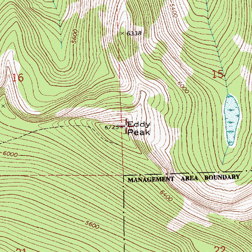 Topographic Map of Eddy Peak, ID